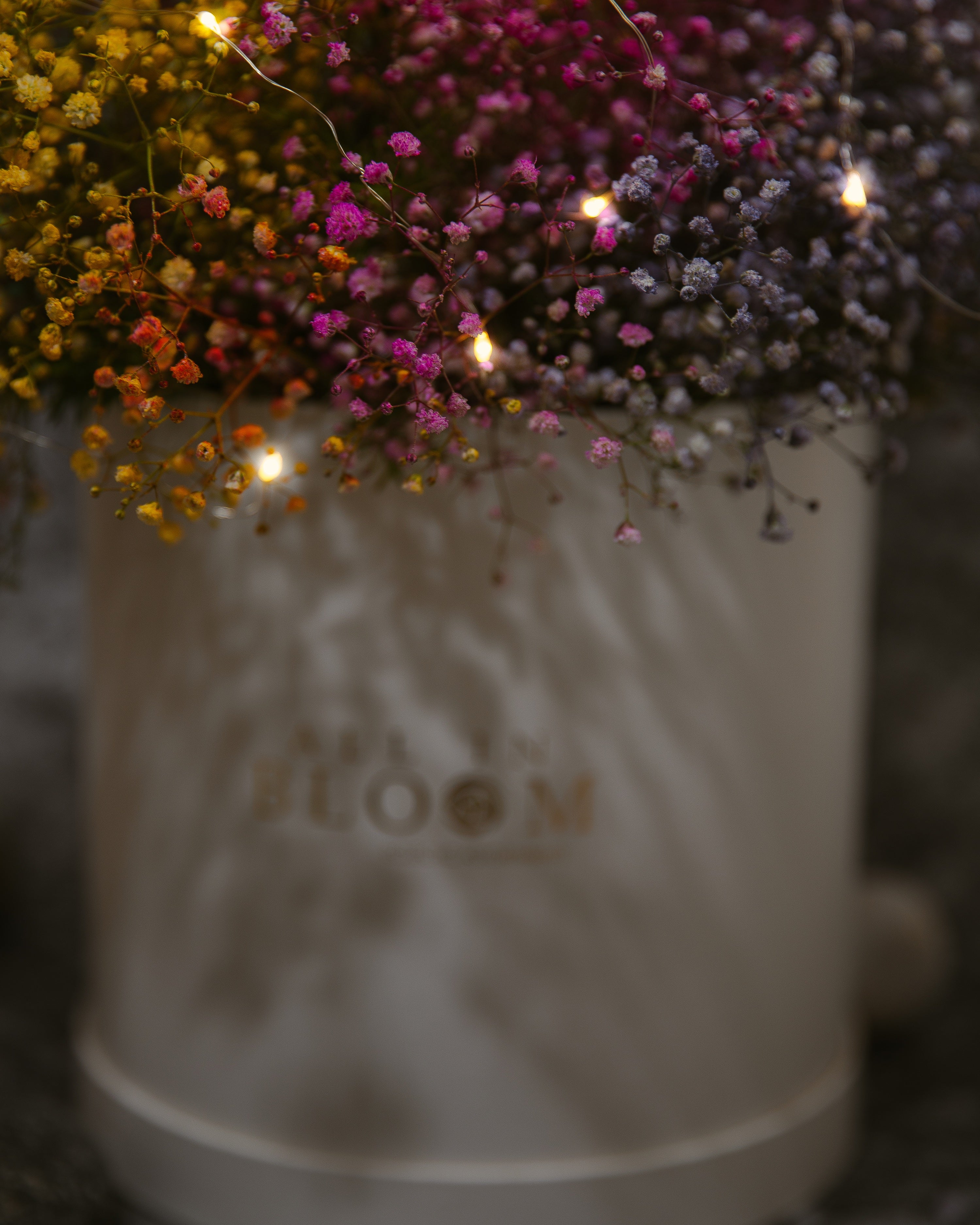 Baby’s Breath – Bloom Dome