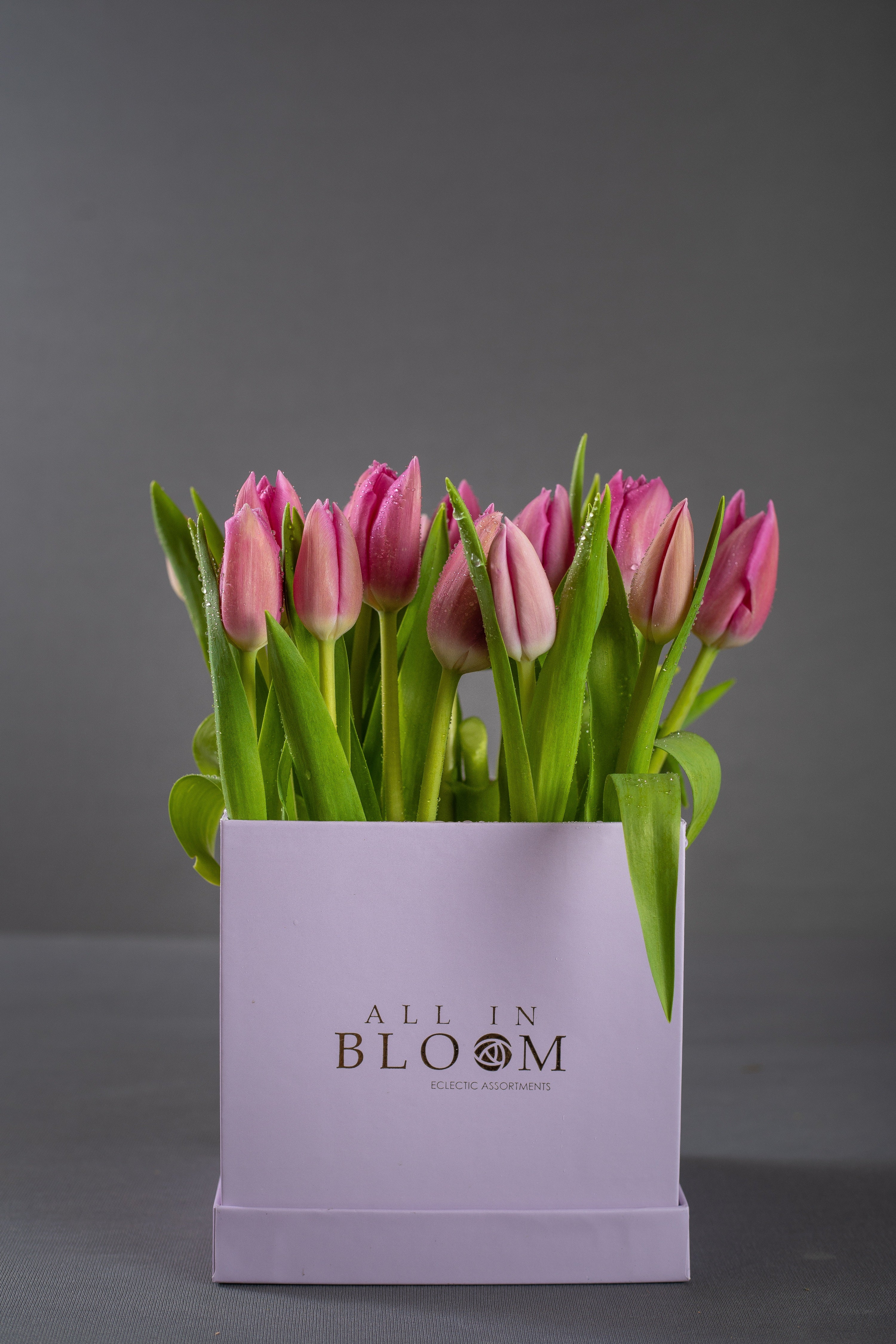 Tulips – Bloom Cube