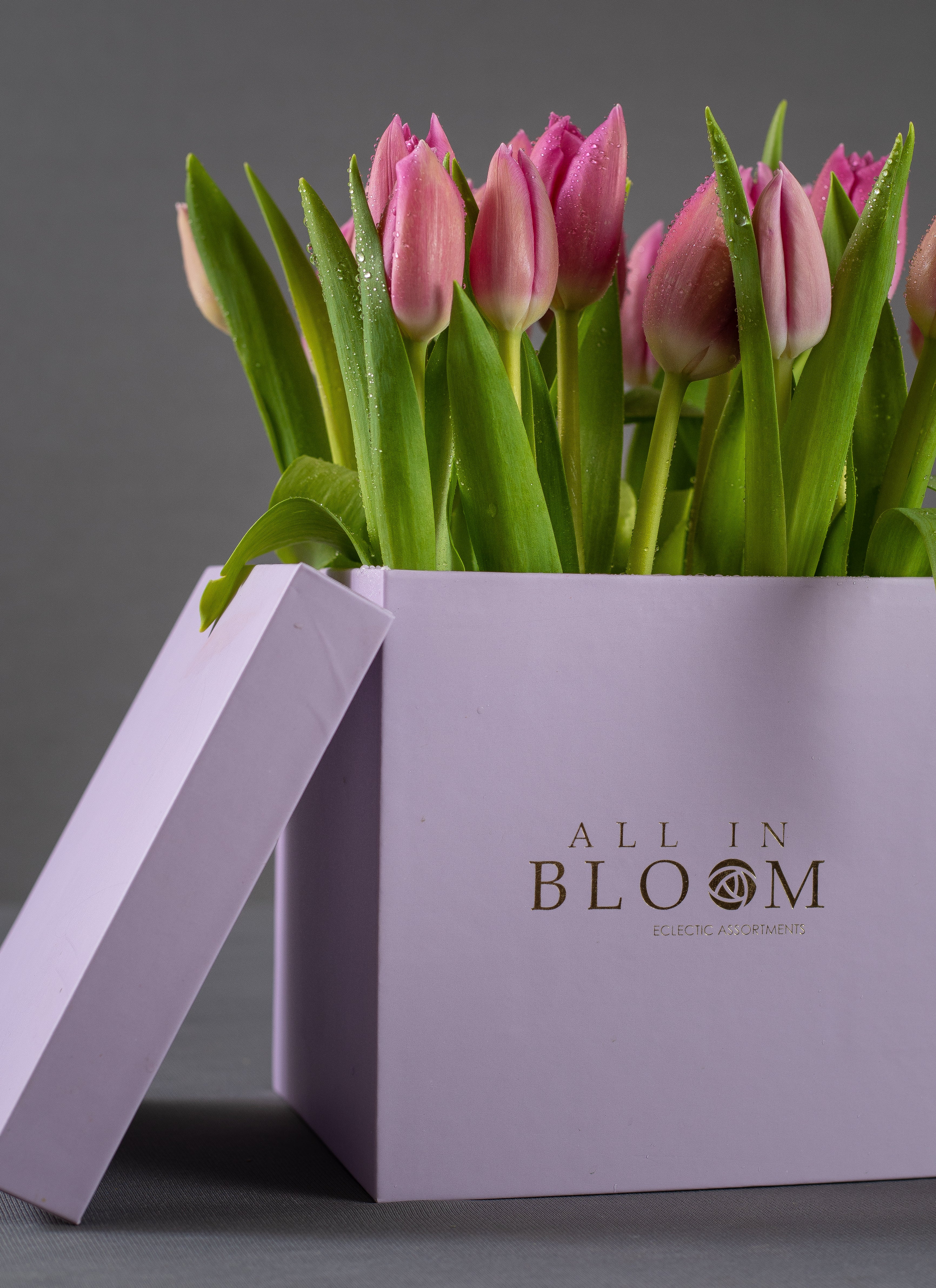 Tulips – Bloom Cube