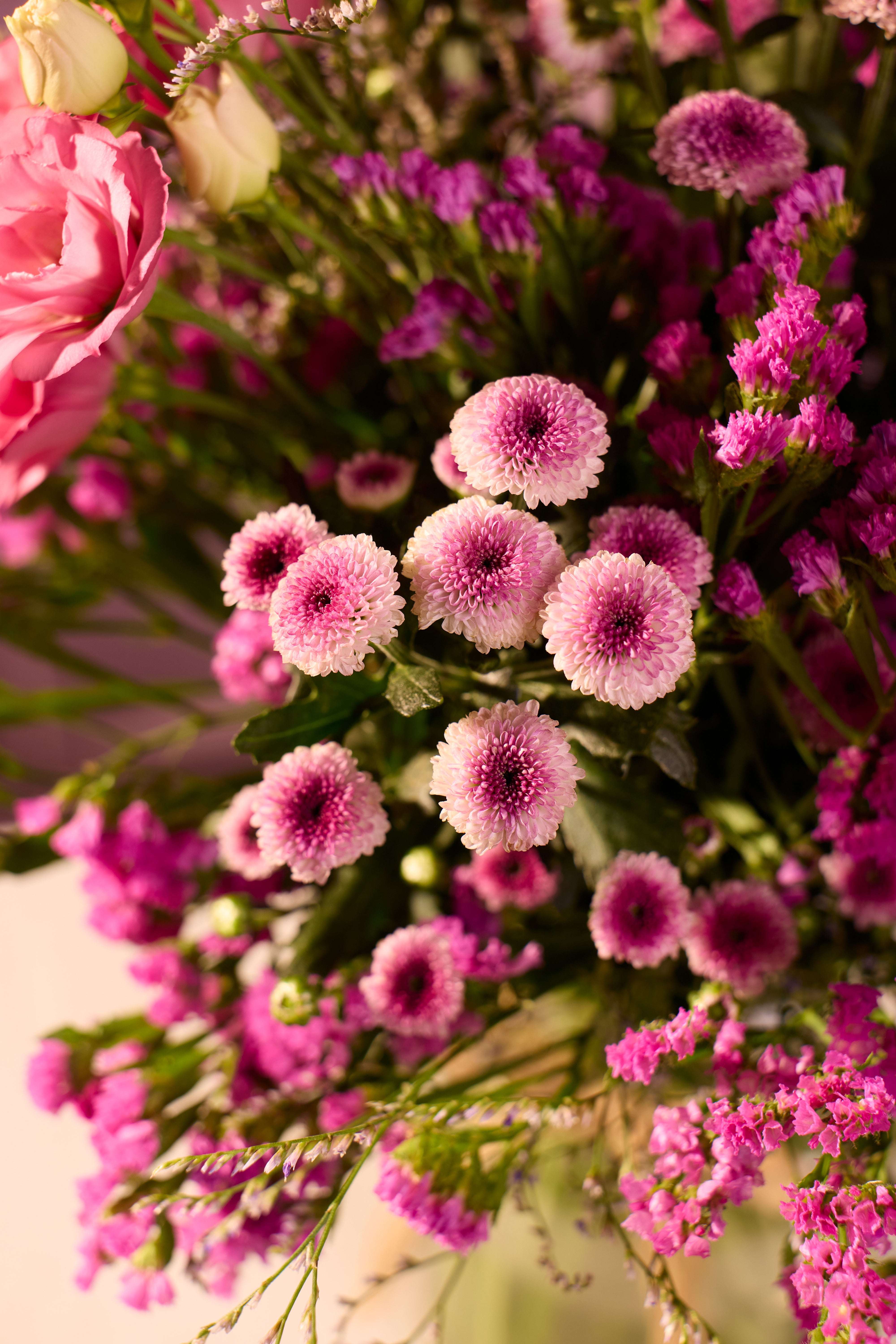 A Pink Summer - Bloom Petite