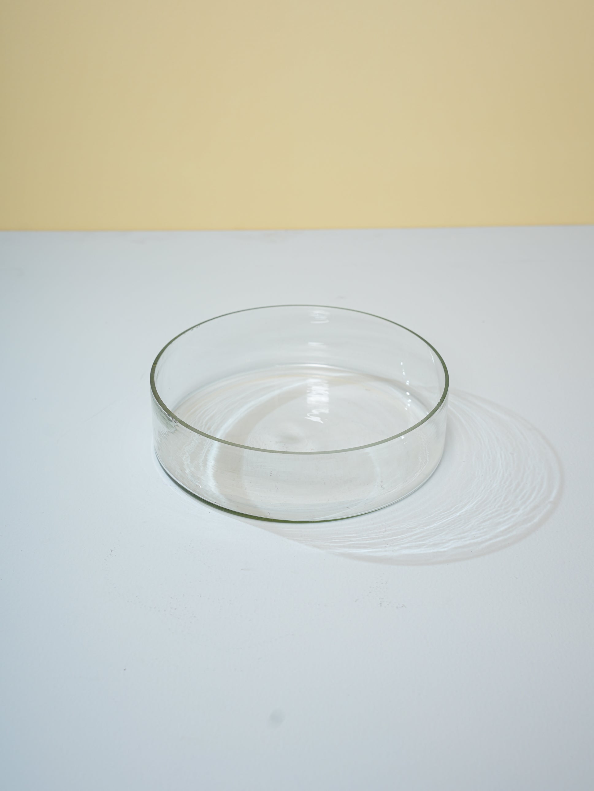 Candy Bloom - Bloom Vase