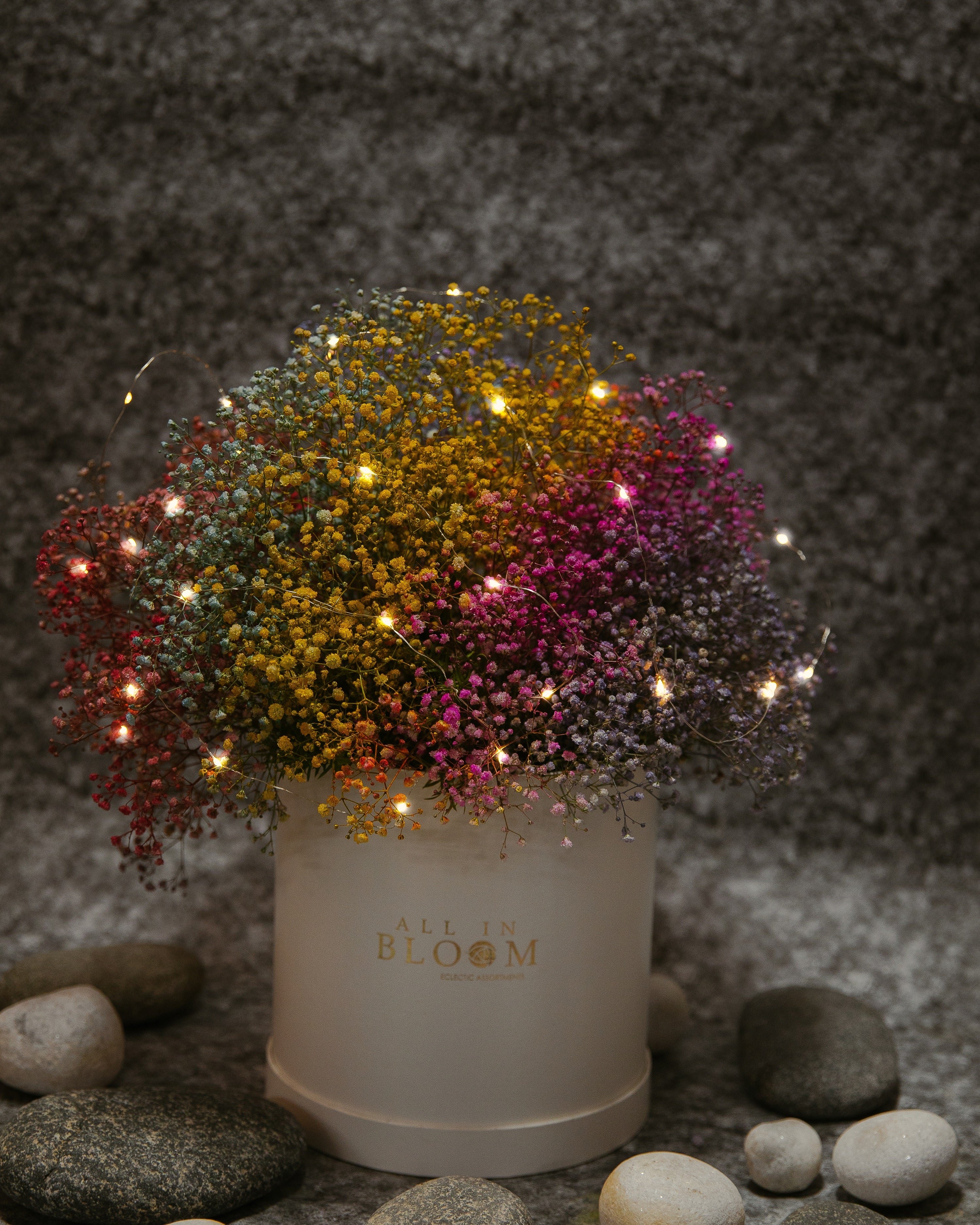 Baby’s Breath – Bloom Dome