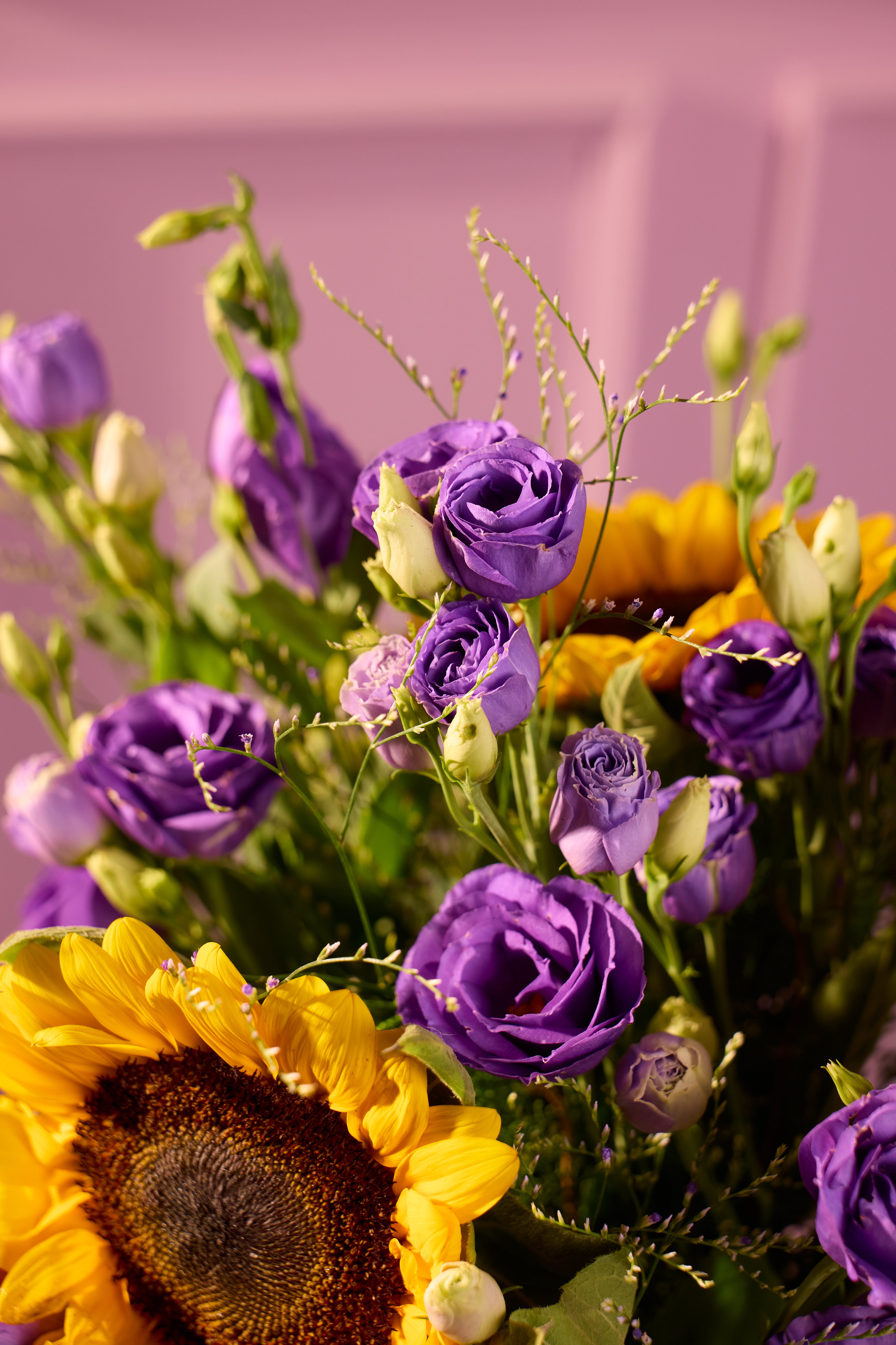 Meadow Gold - Bloom Petite