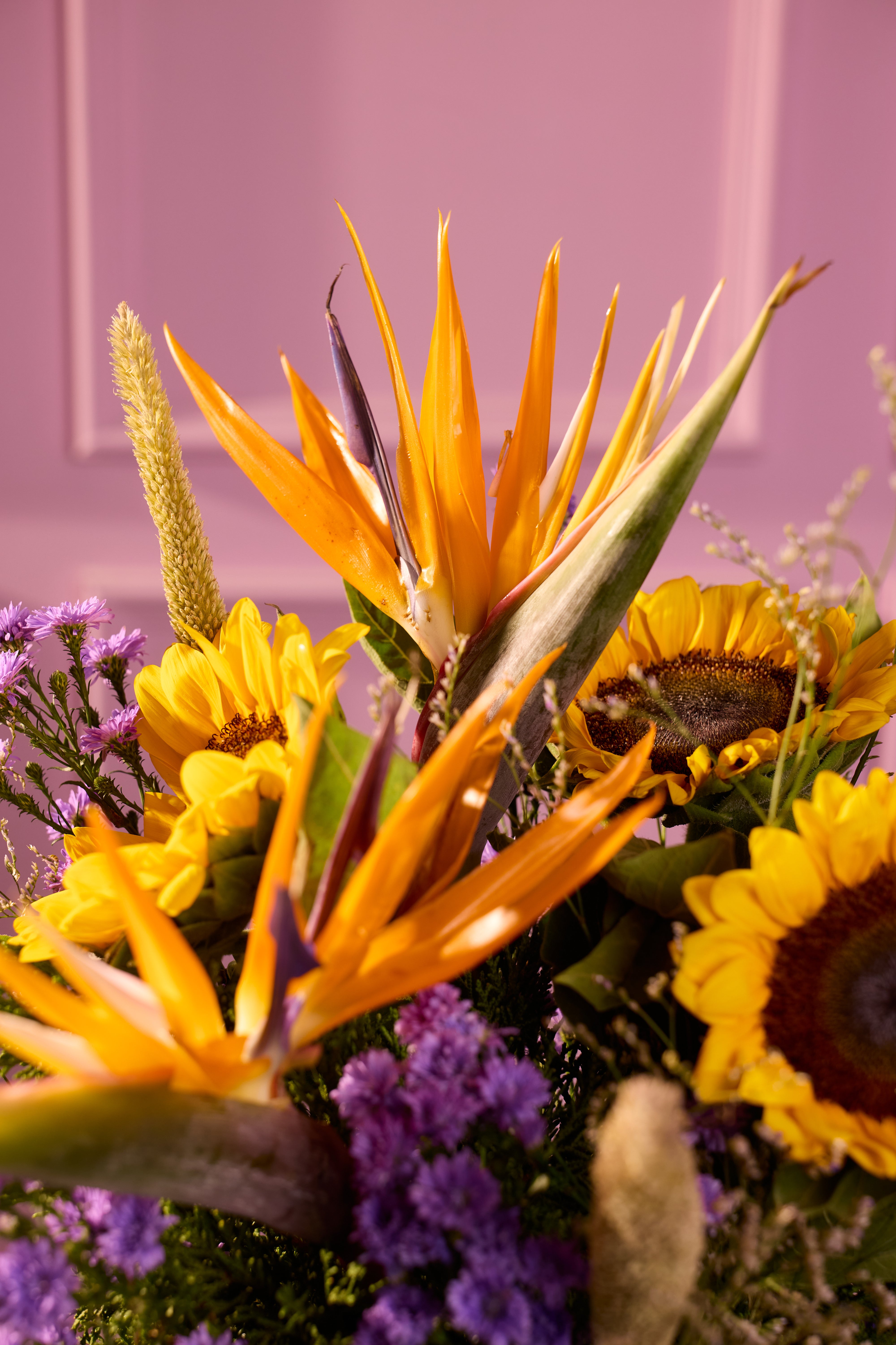 Tropical Sunburst - Bloom Petite
