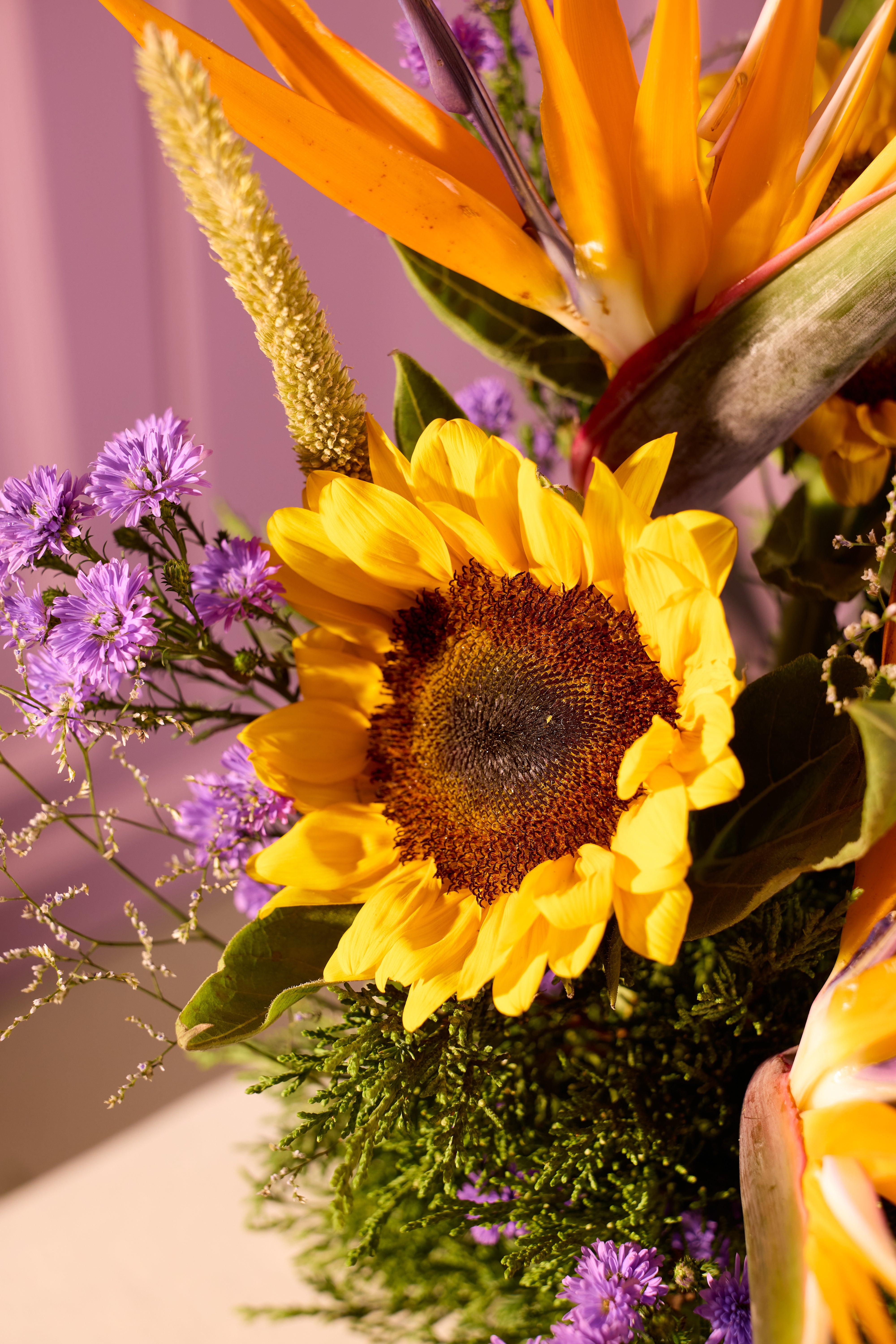 Tropical Sunburst - Bloom Petite