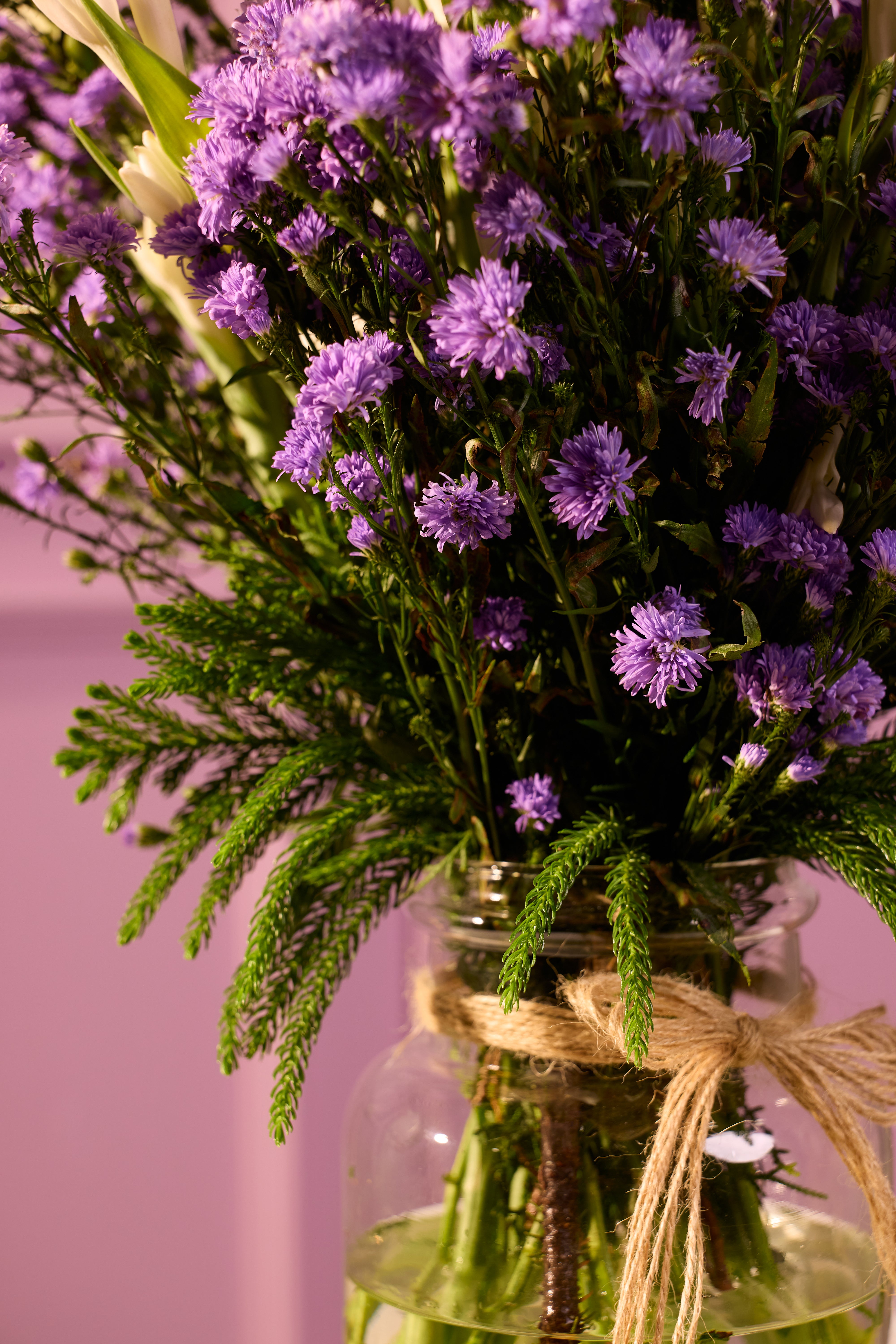 Lilac Summer - Bloom Petite
