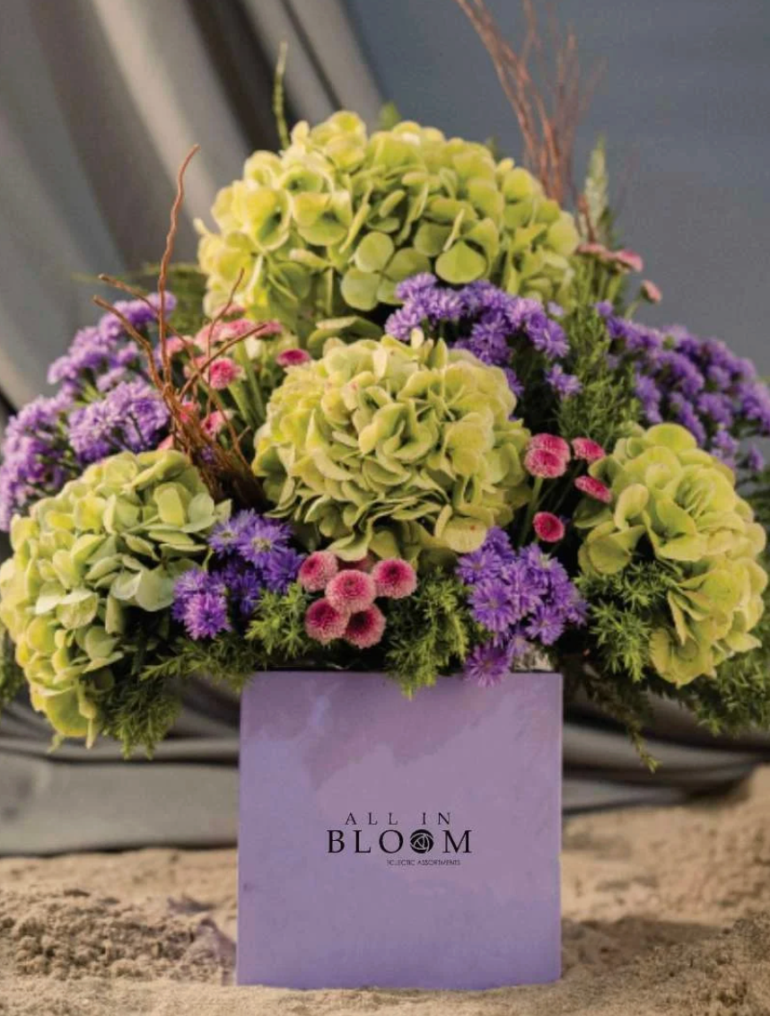 Bloom Harmony – Bloom Cube